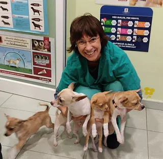 perro feliz veterinario